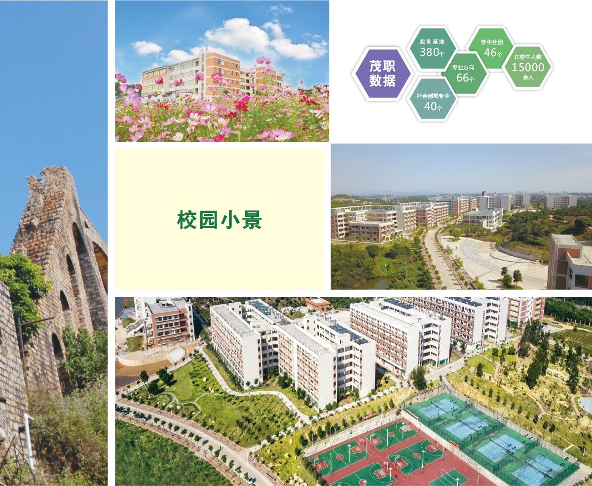 难念的经歌词