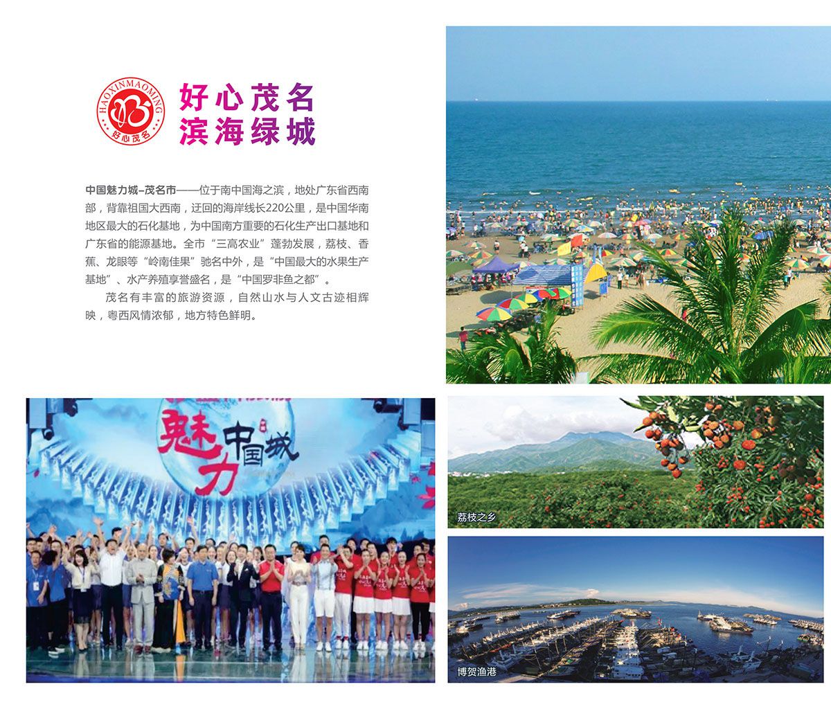 太极雷公